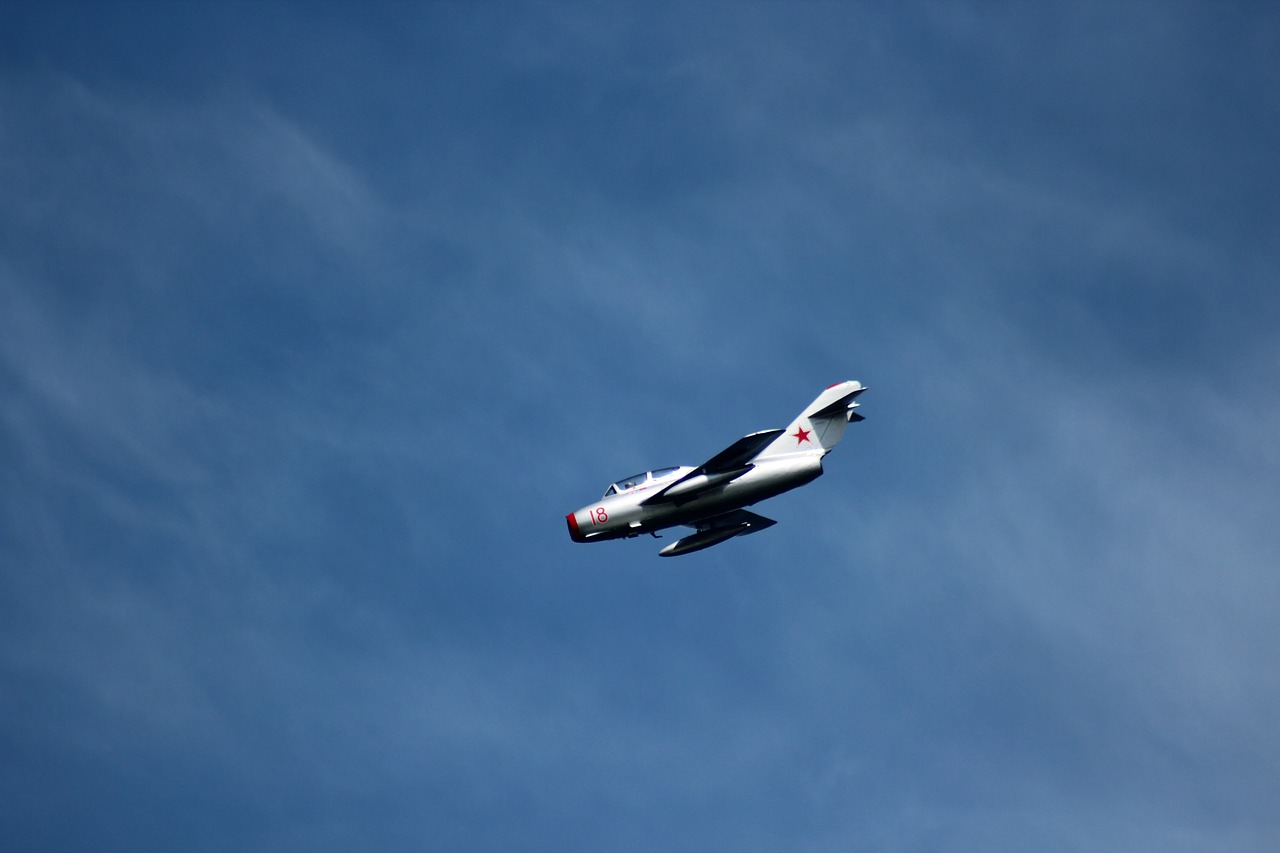 jet airplane airshow free photo