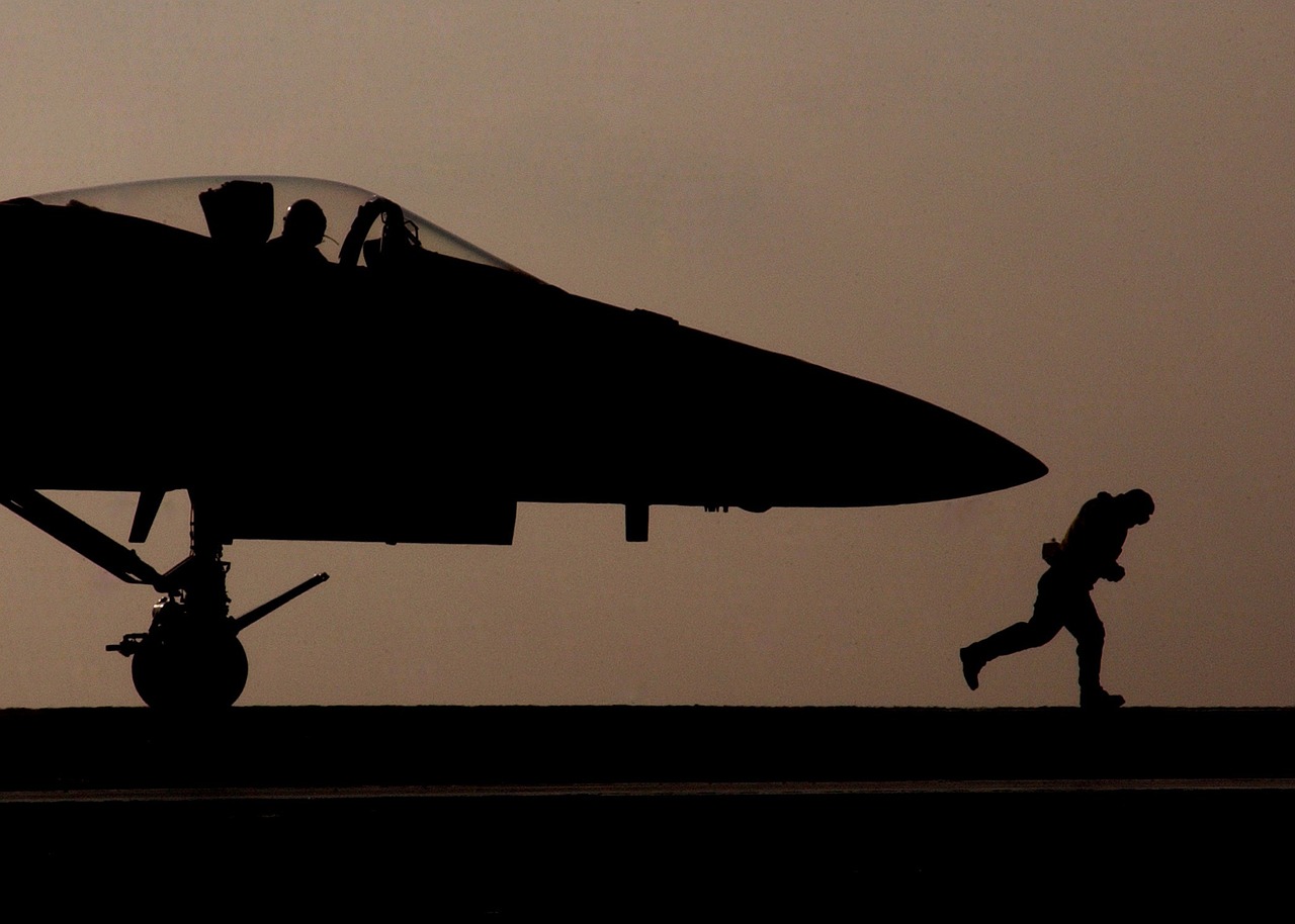jet military silhouette free photo