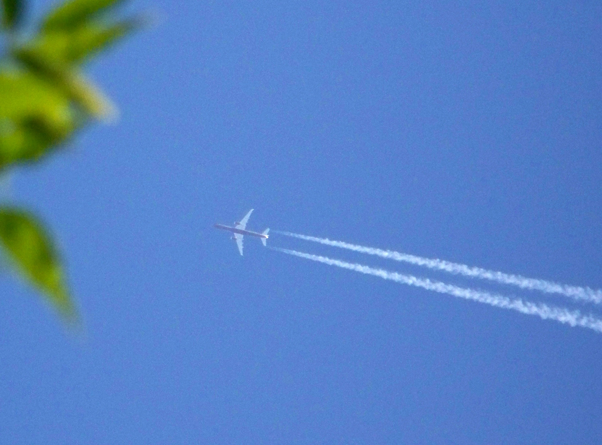 aviation airplane plane free photo