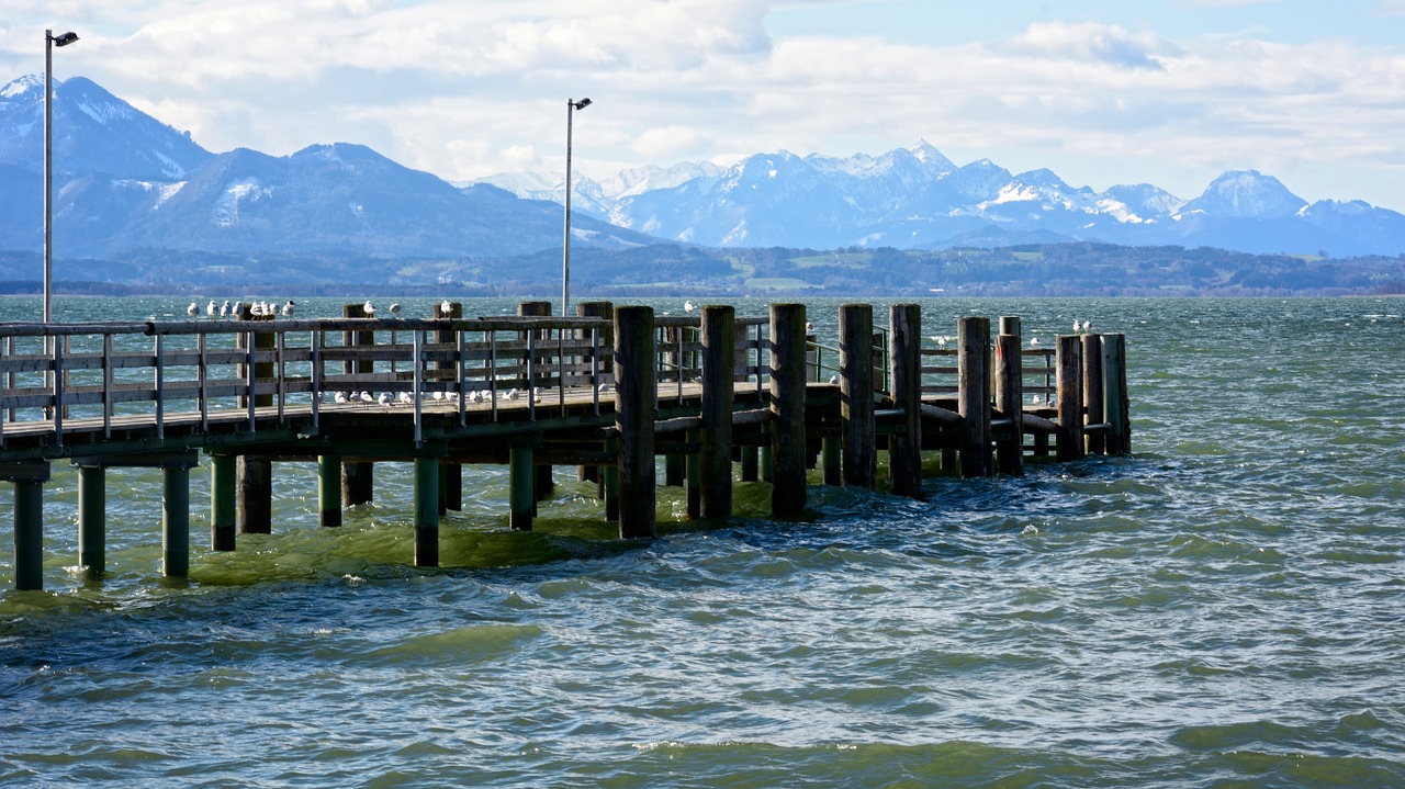 jetty web wood free photo