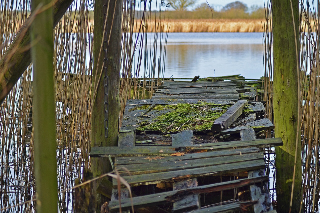 jetty decay old free photo