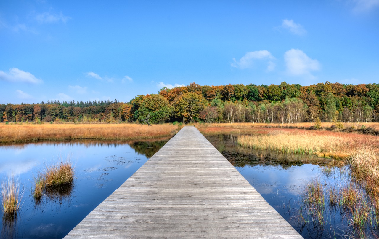 jetty autumn fall free photo