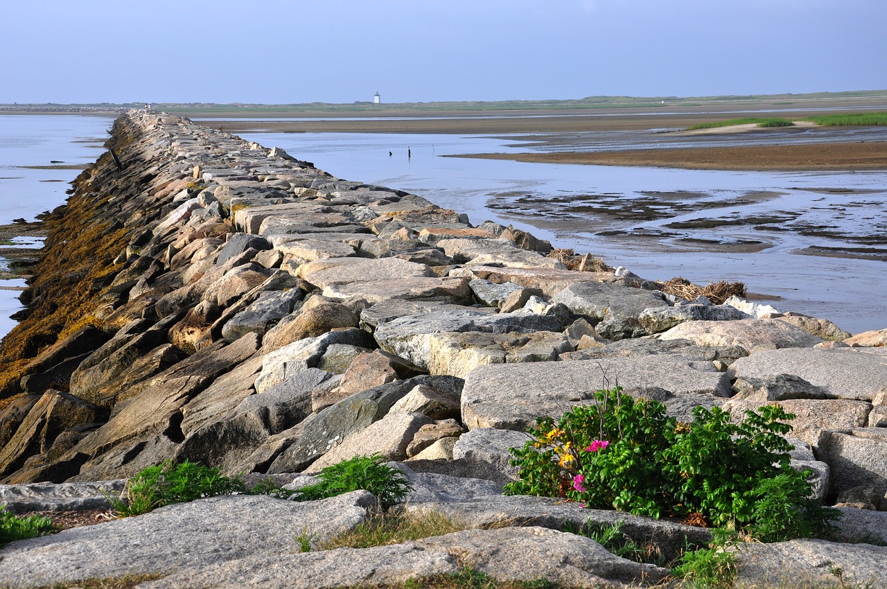 jetty cape cod provincetown free photo