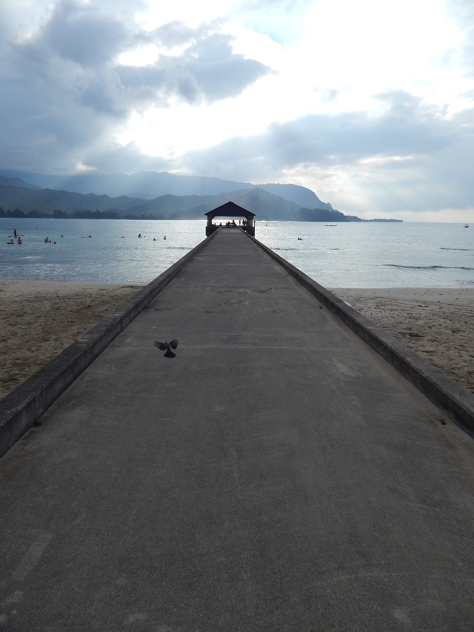 jetty  pier  beach free photo