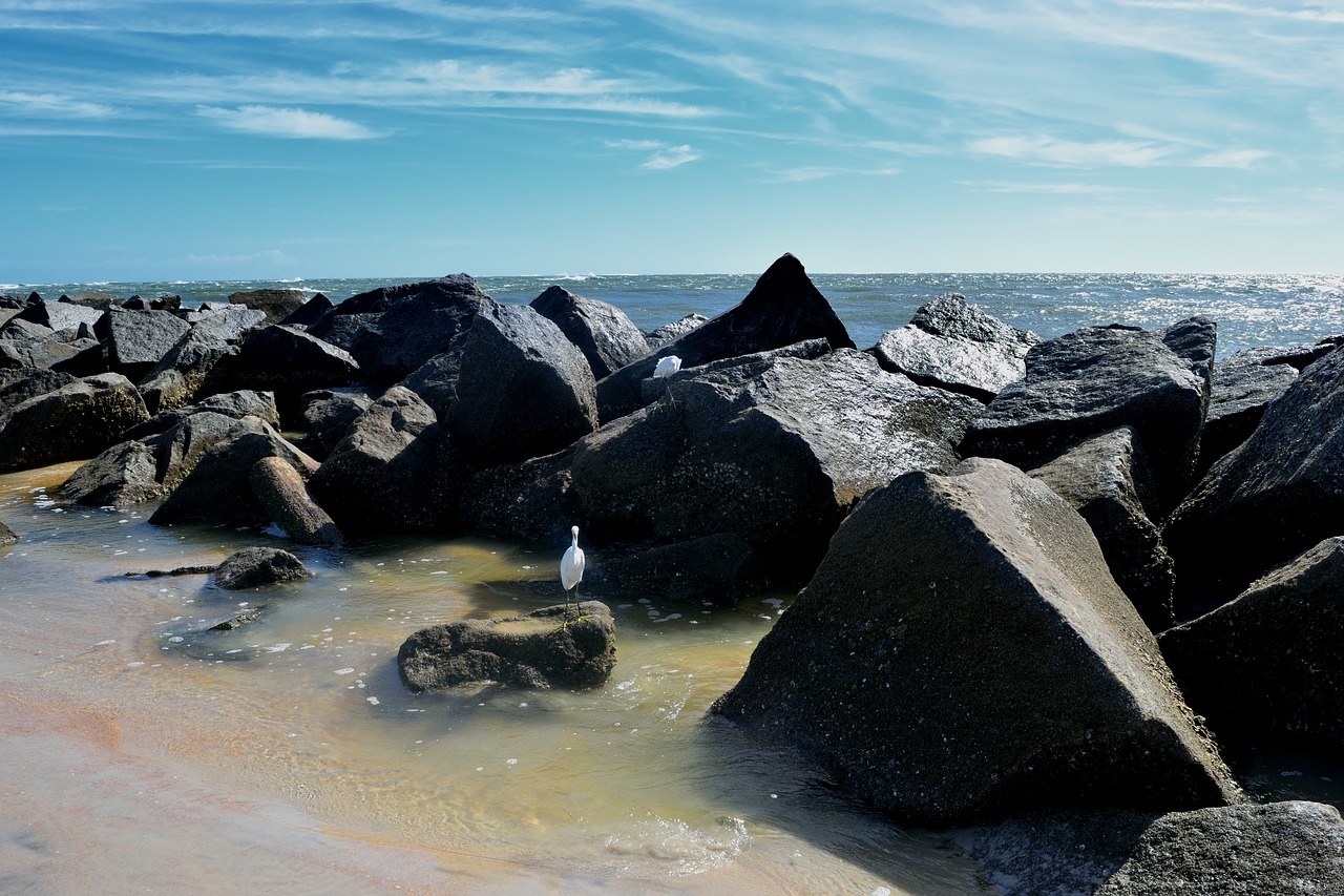 jetty  ocean  rocks free photo