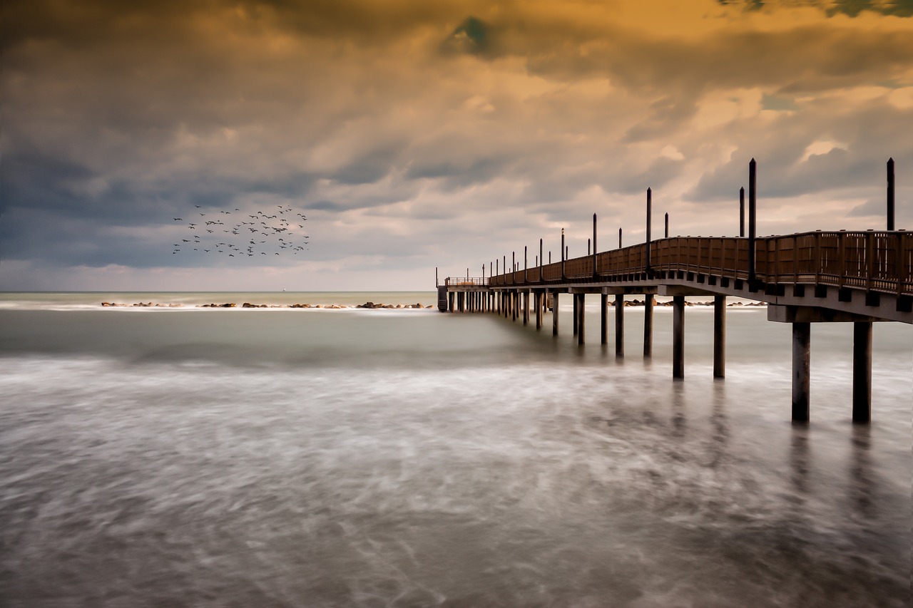 jetty  bridge  sea free photo