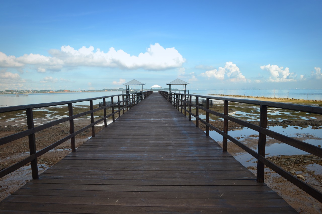 jetty  skyline  bridge free photo