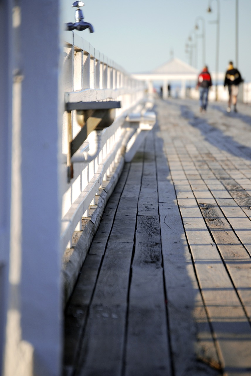 jetty pier seaside free photo