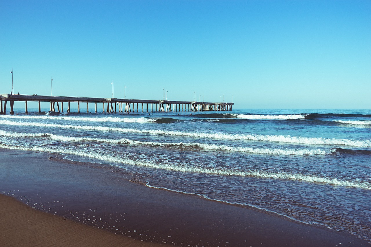 jetty ocean coast free photo