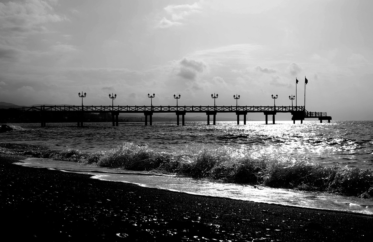 jetty black and white beach free photo