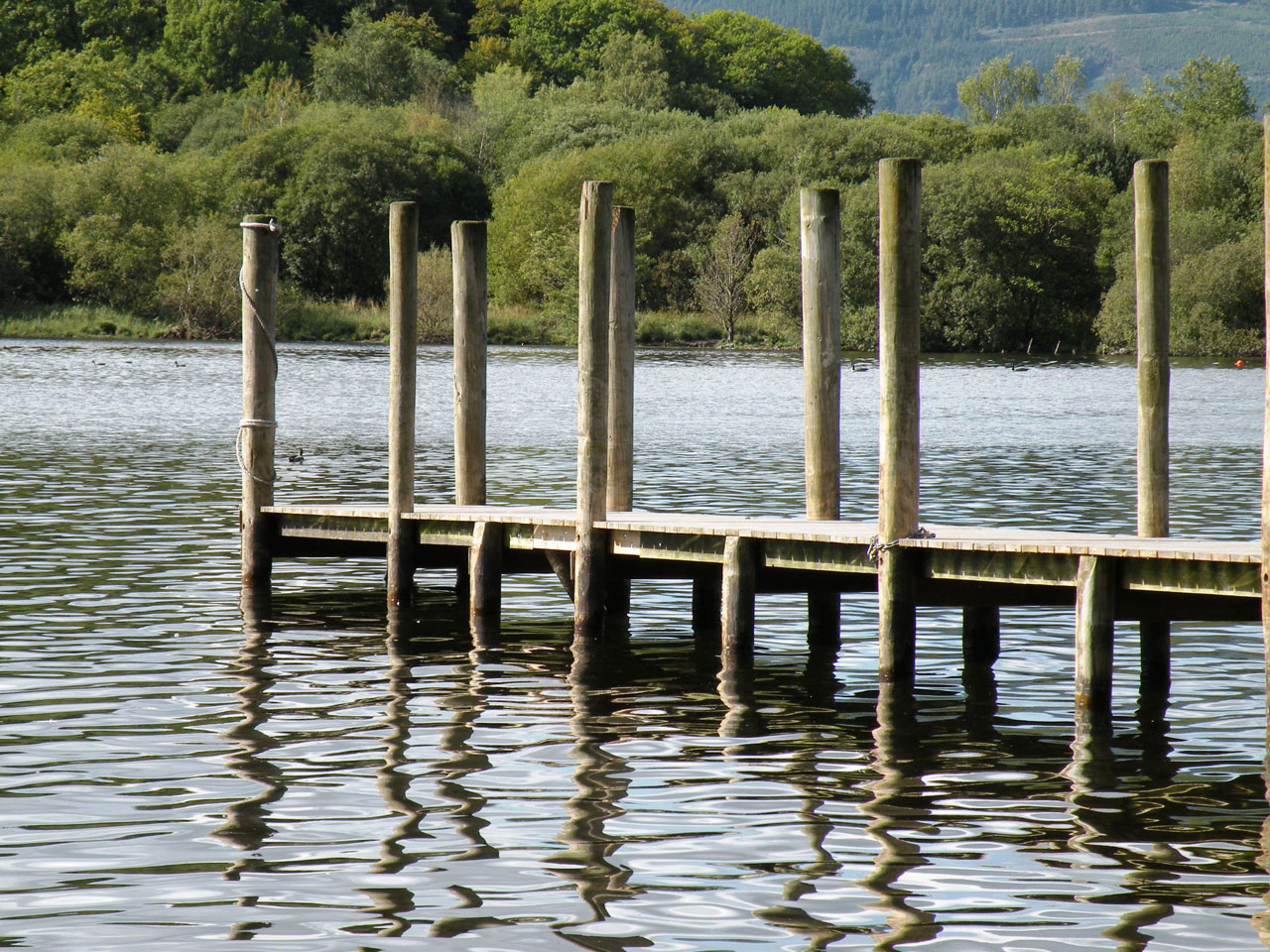 jetty reflections lake free photo