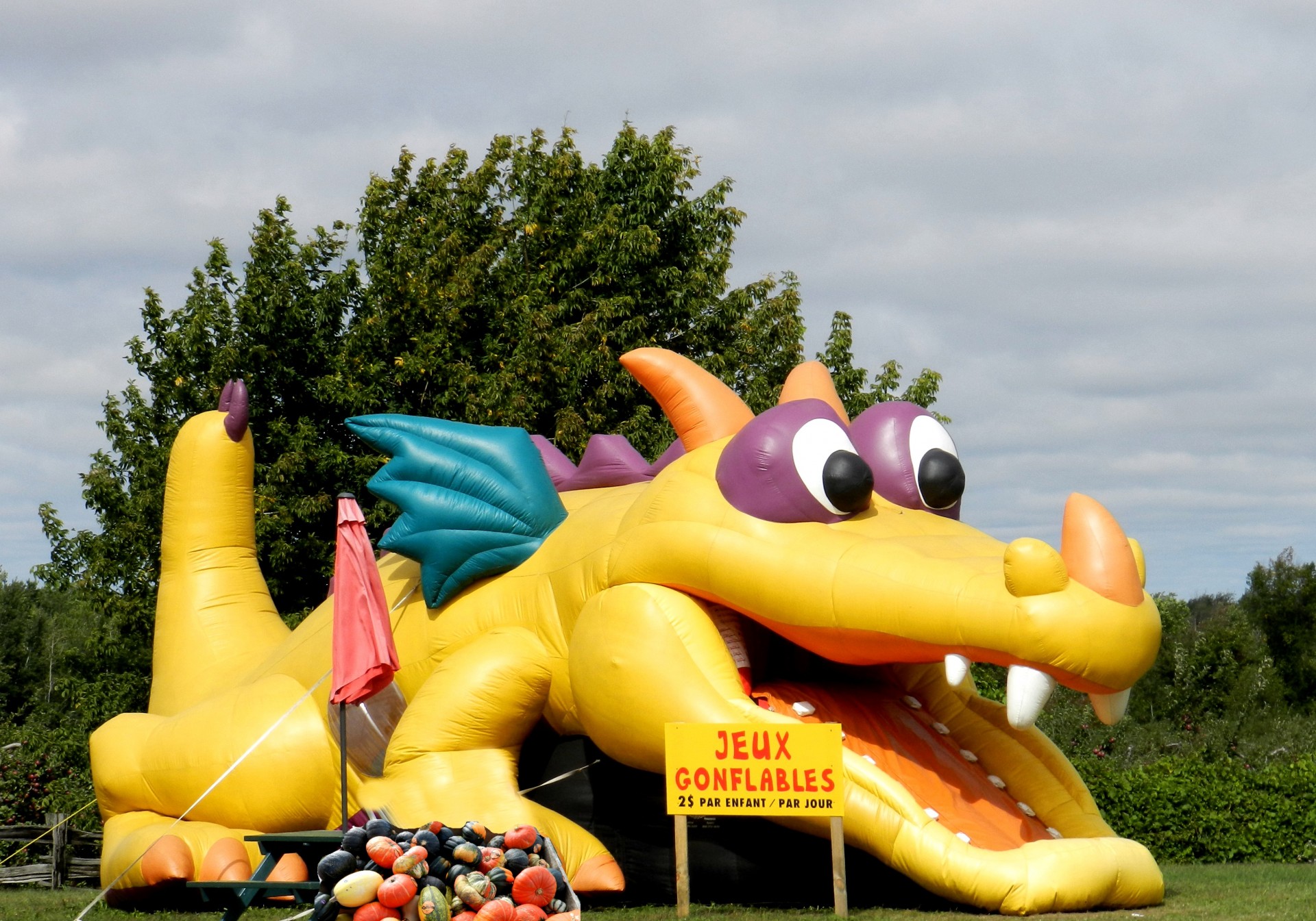 inflatable game dinosaur fun free photo