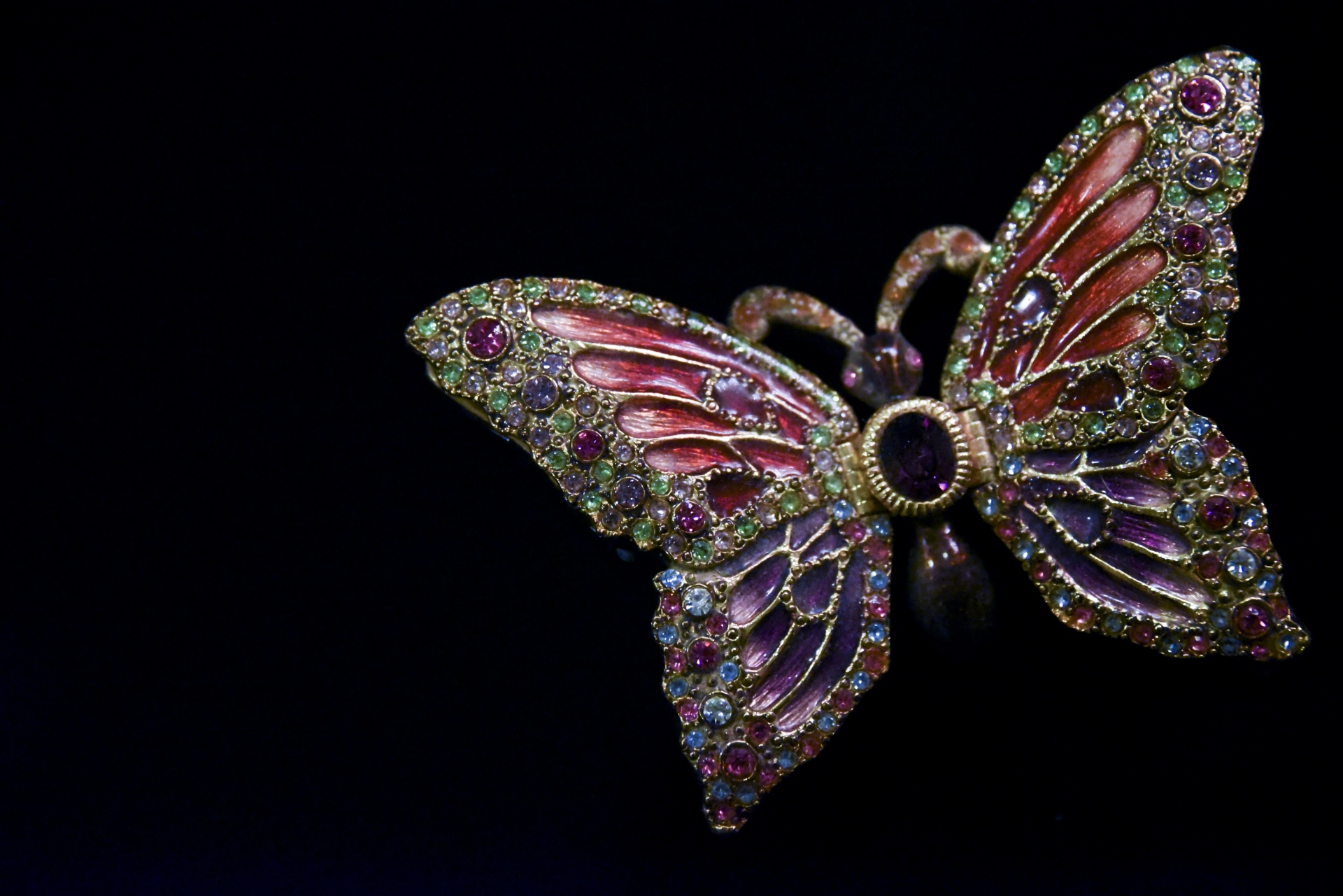 jewel butterfly jeweled free photo
