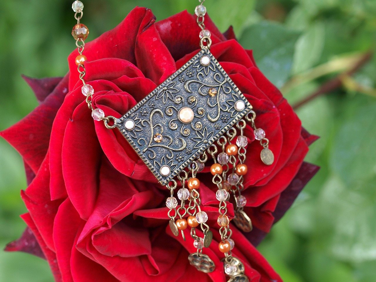 jewellery  rose  romance free photo