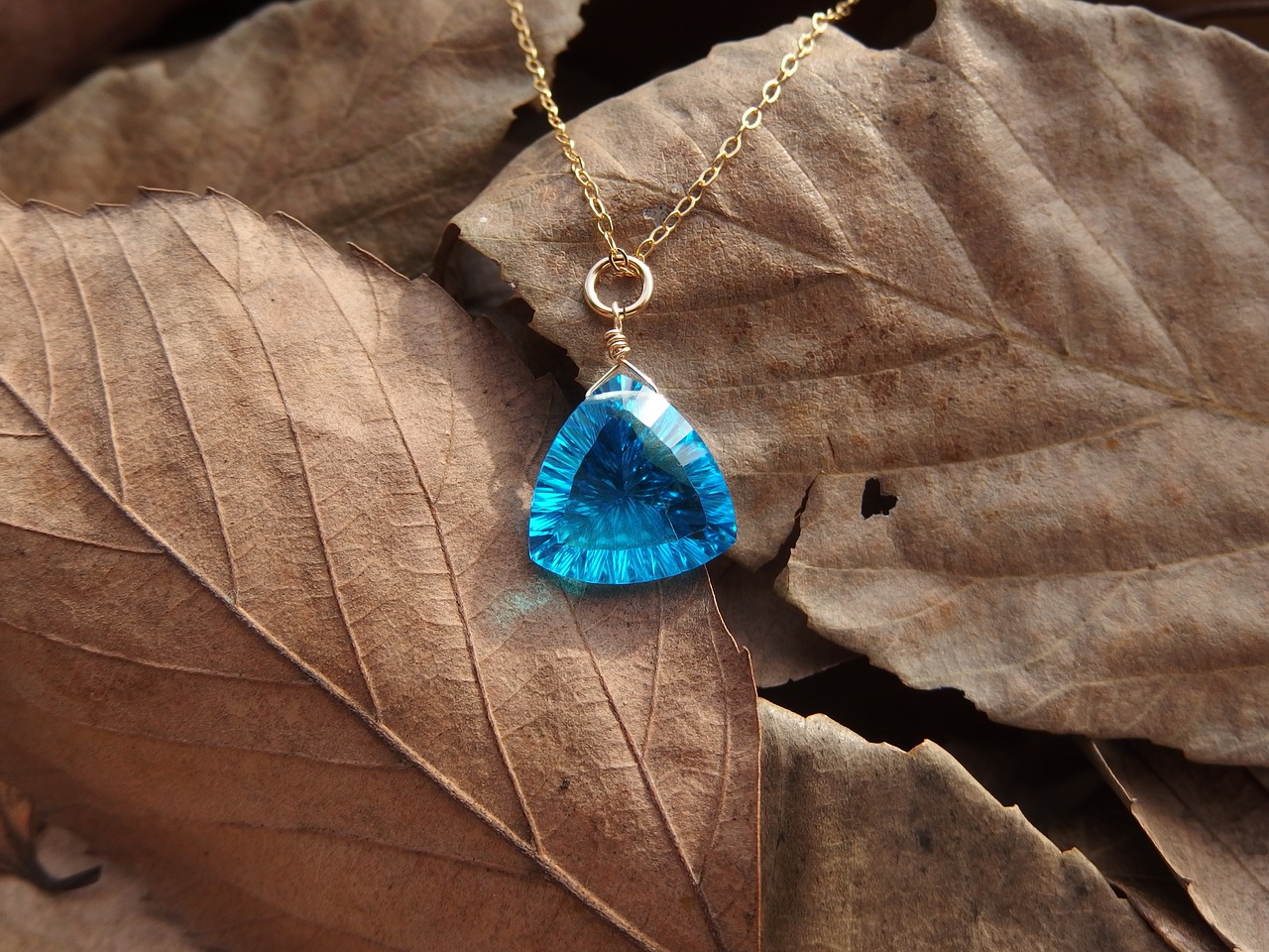 jewelry blue fallen leaves free photo