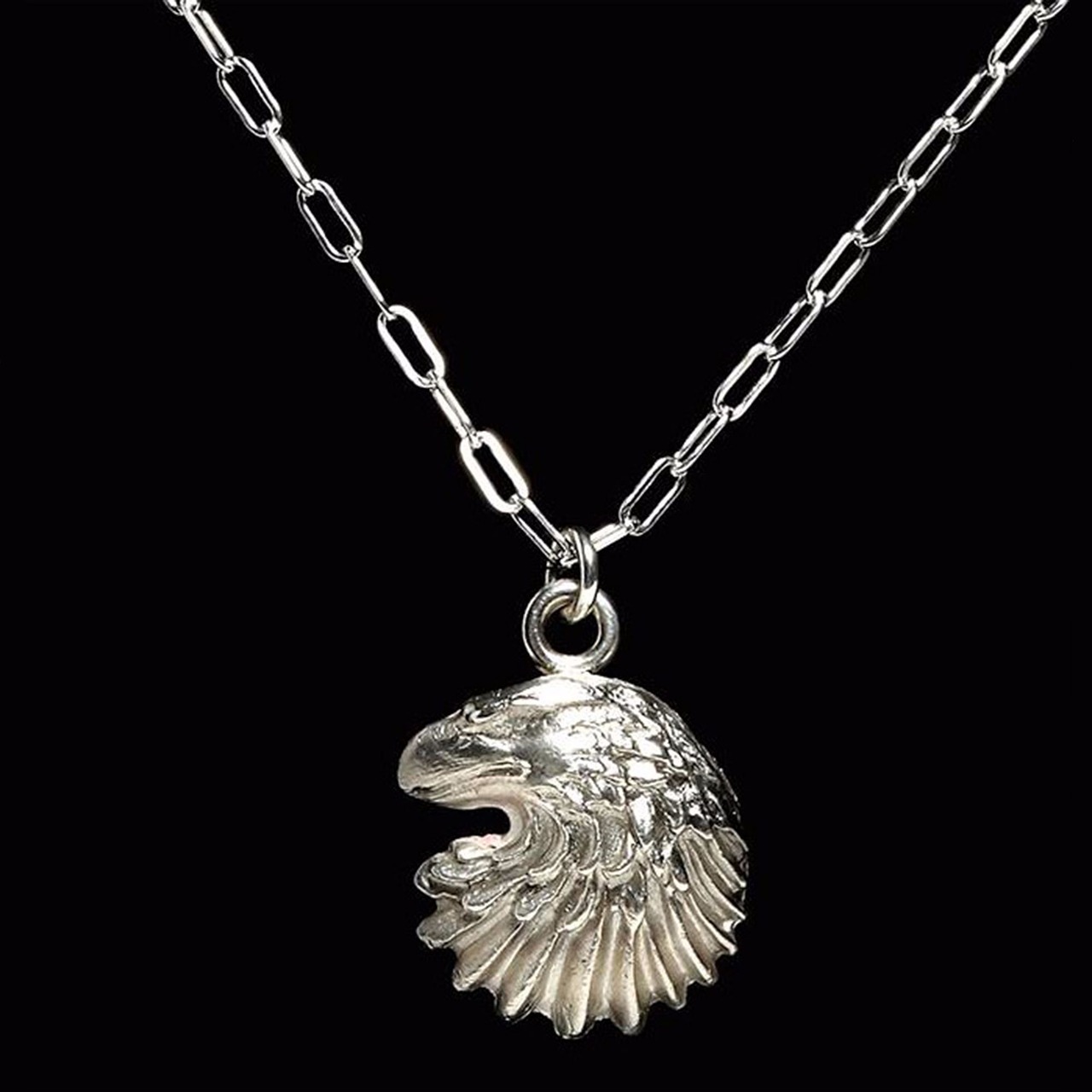 jewelry necklace eagle free photo