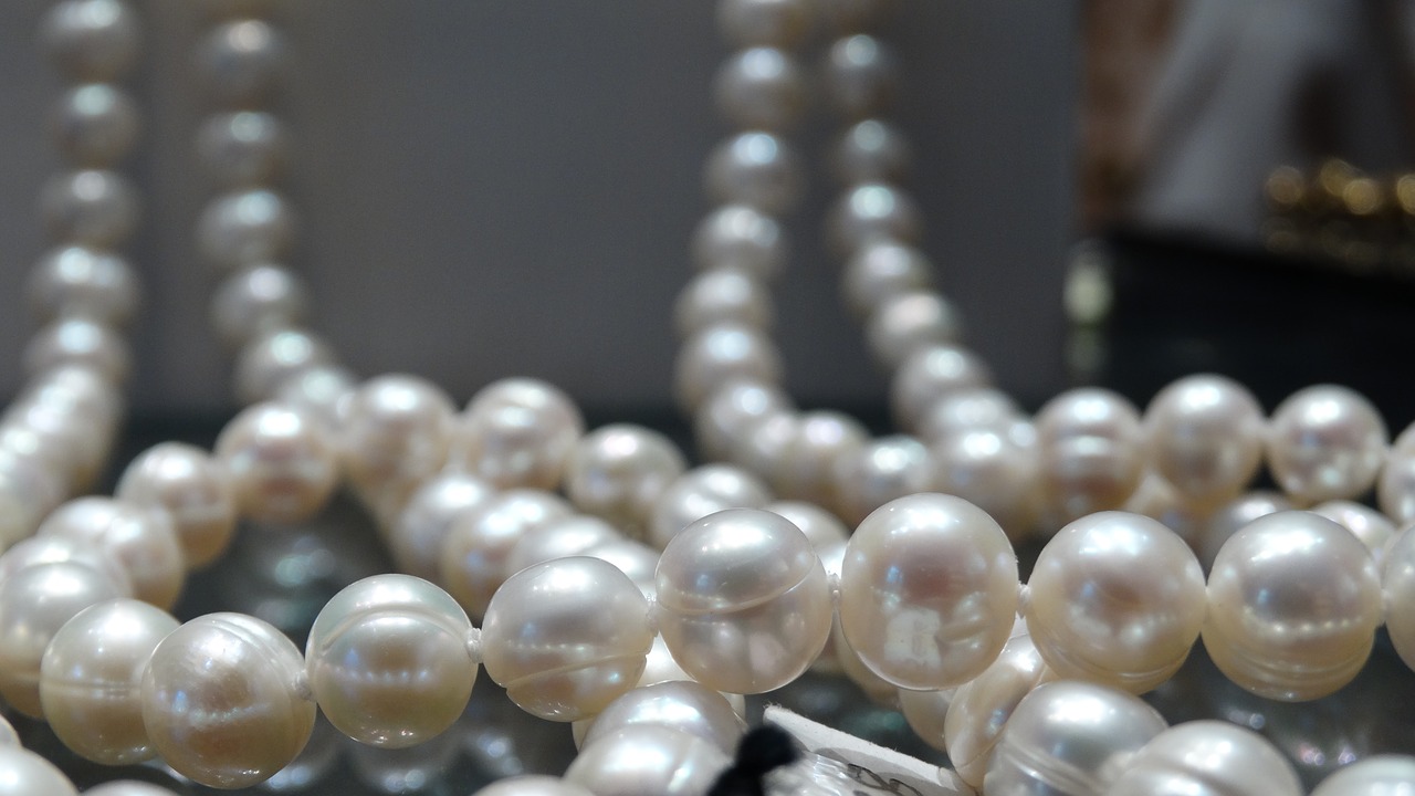 pearl jewelry no neck free photo