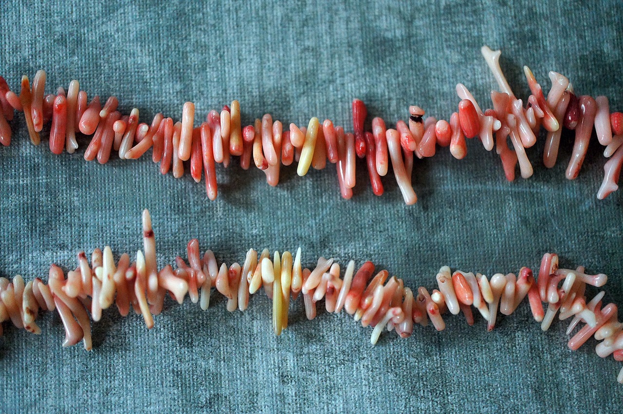 jewelry coral pink free photo