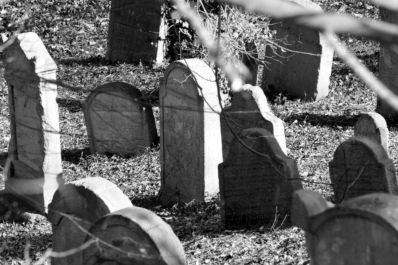 jewish  cemetery  tombstone free photo