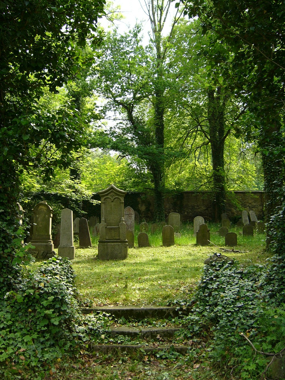 jewish cemetery green free photo