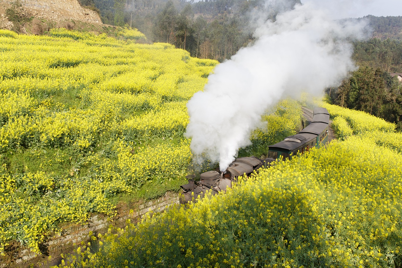 jia yang train landscape free photo