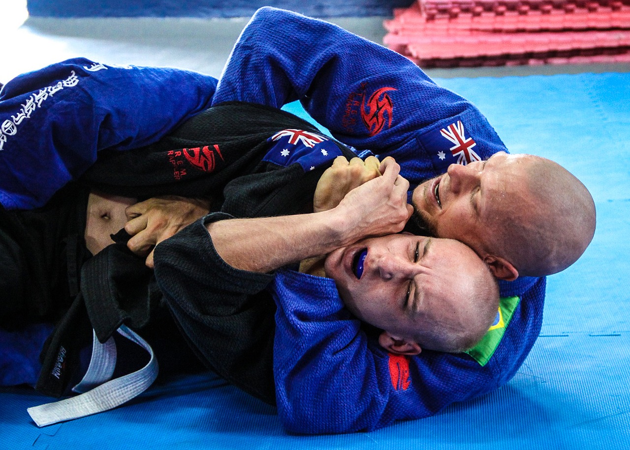 jiu-jitsu fight martial arts free photo