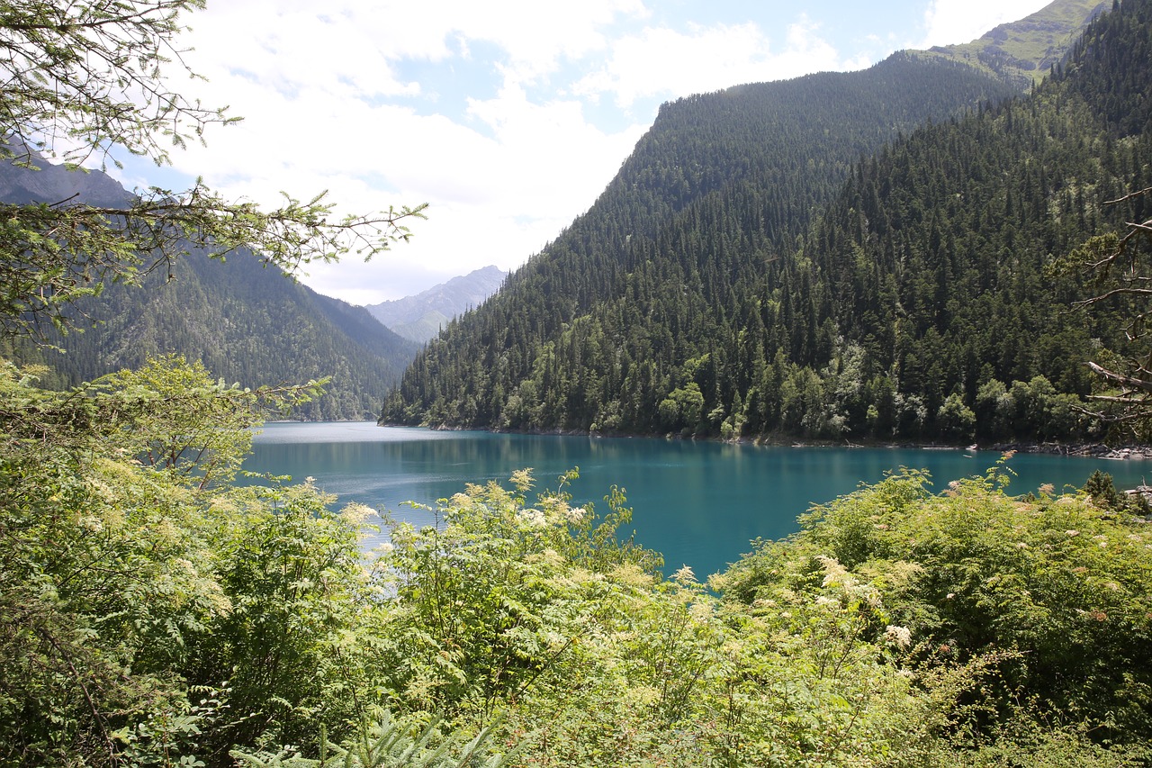 jiuzhaigou water tree free photo