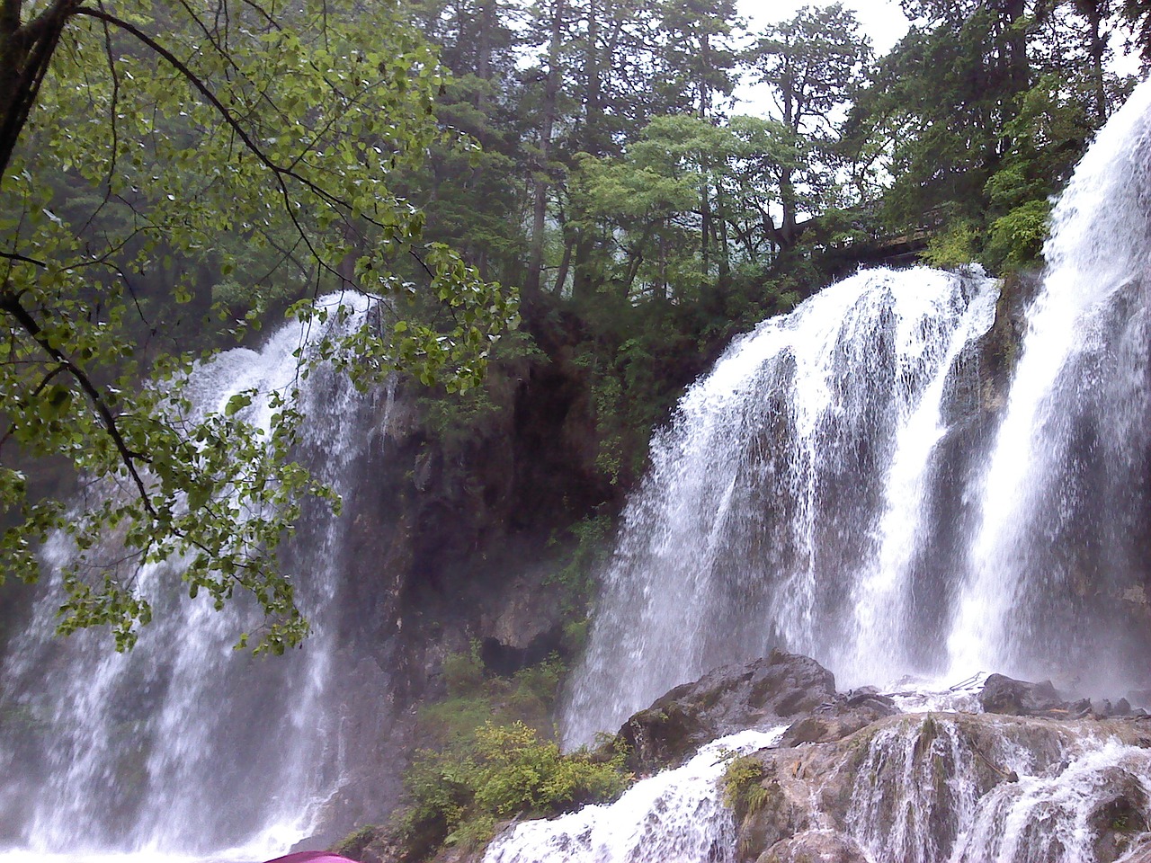 jiuzhaigou falls trees free photo
