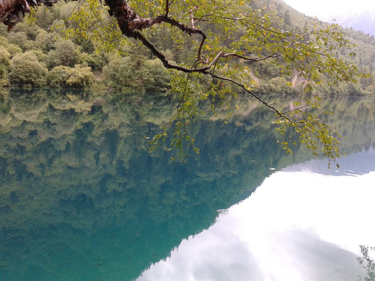 jiuzhaigou crystal clear lake free photo