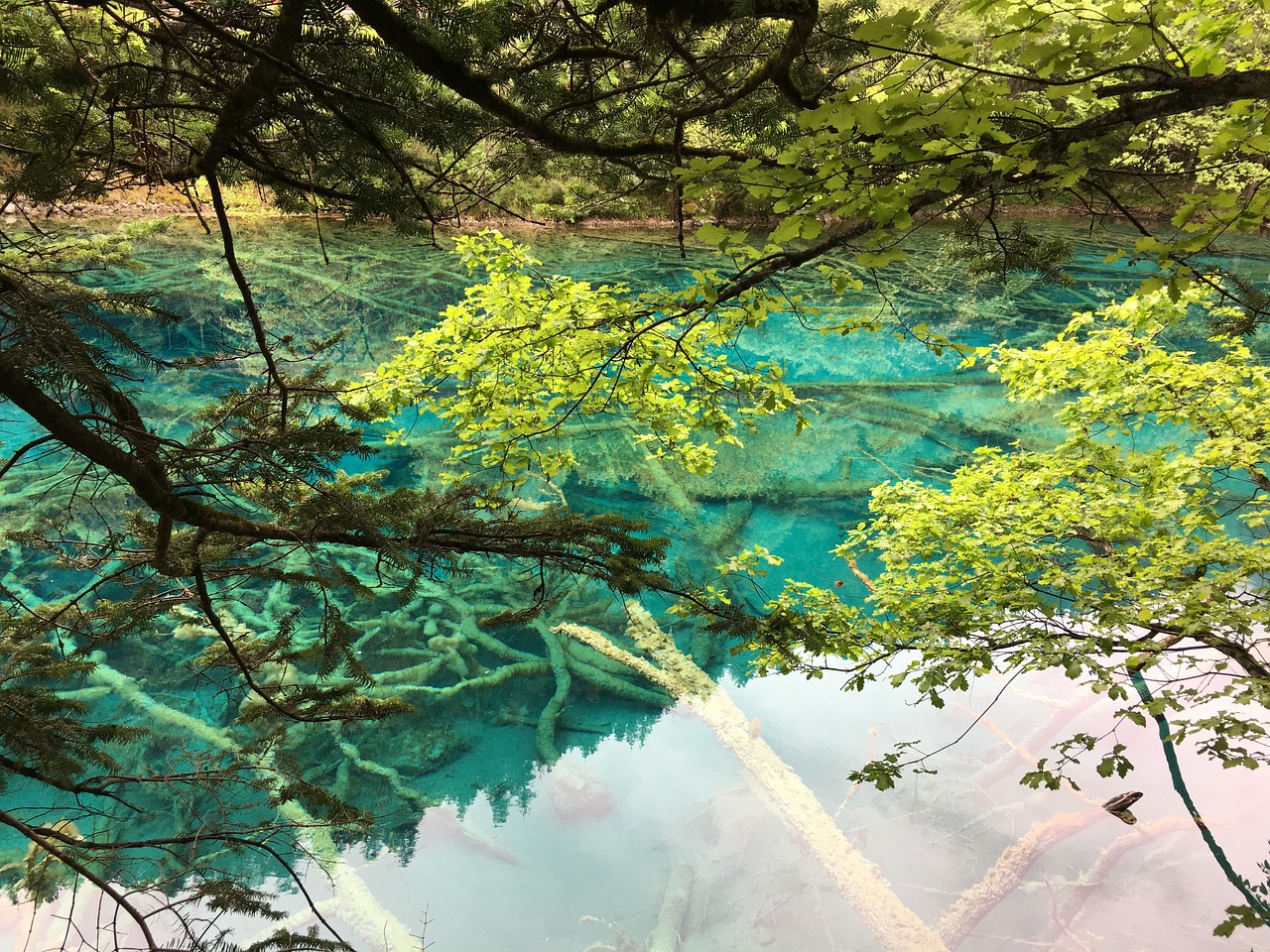 jiuzhaigou sichuan the scenery free photo