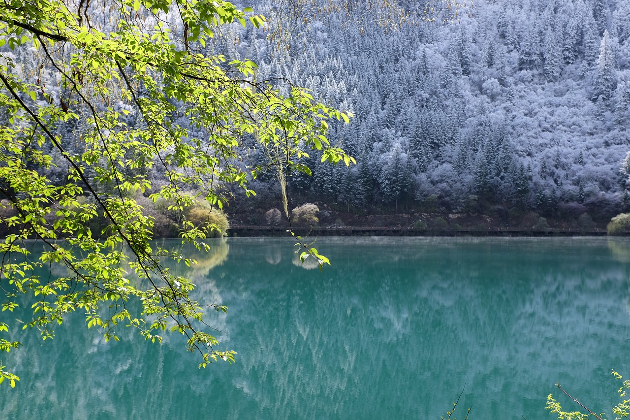 jiuzhaigou lake sichuan free photo