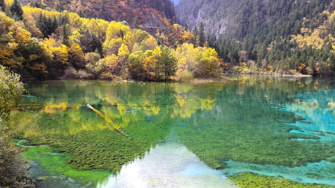 jiuzhaigou before the earthquake the scenery free photo