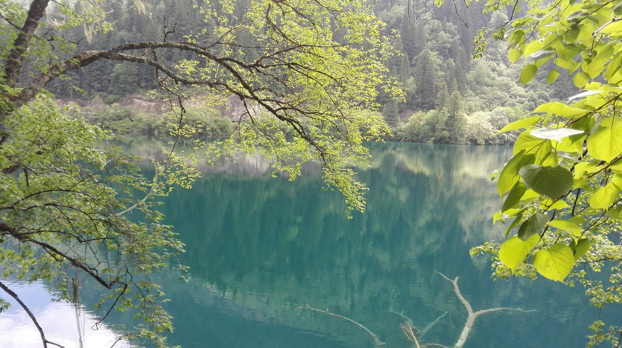 jiuzhaigou peacock lake sichuan free photo