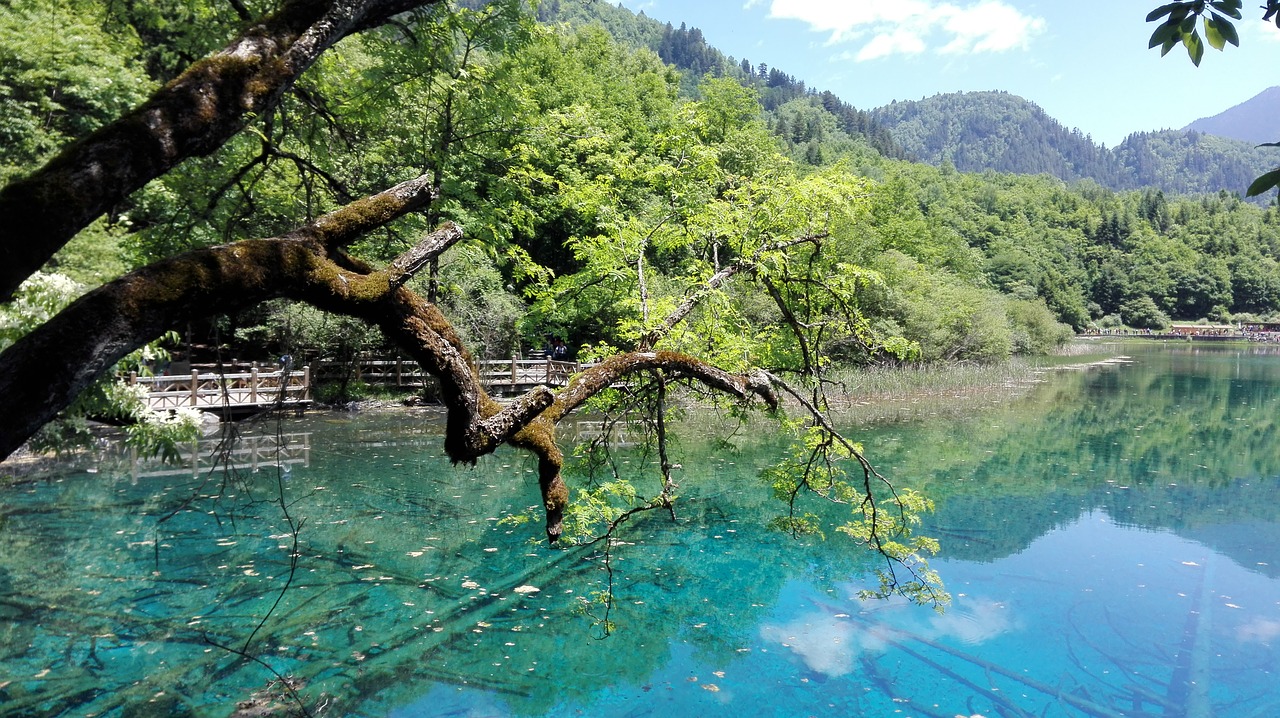 jiuzhaigou sichuan lake free photo