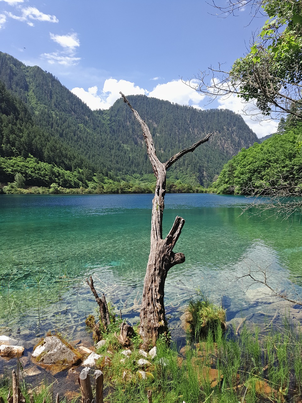 jiuzhaigou the scenery water free photo