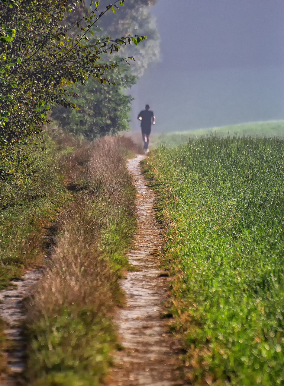 jog  run  sport free photo