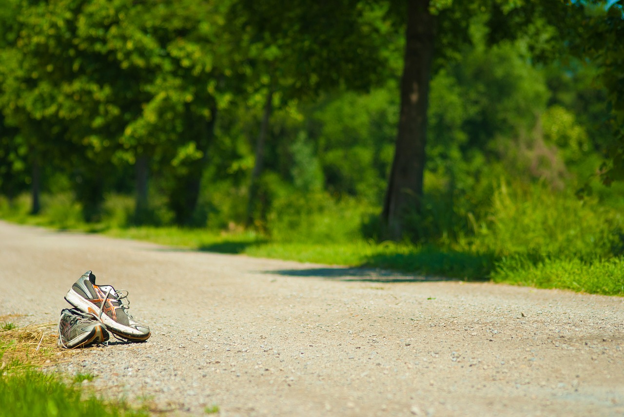 jog run shoes free photo