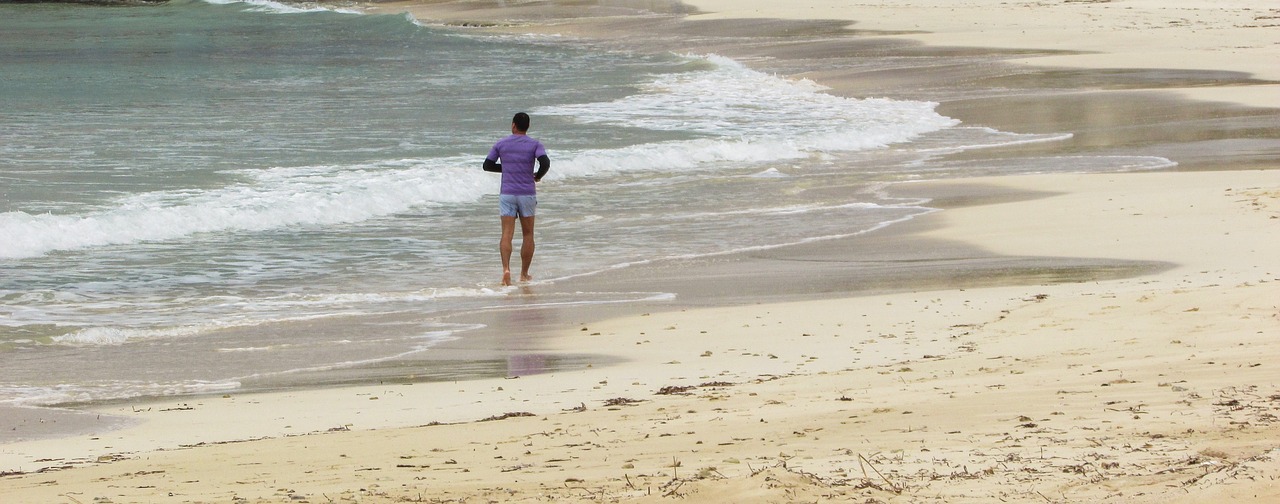jogging beach runner free photo