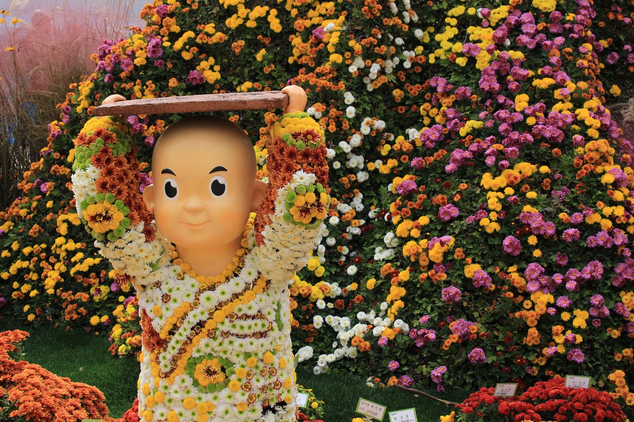 jogye temple chrysanthemum festival korea free photo