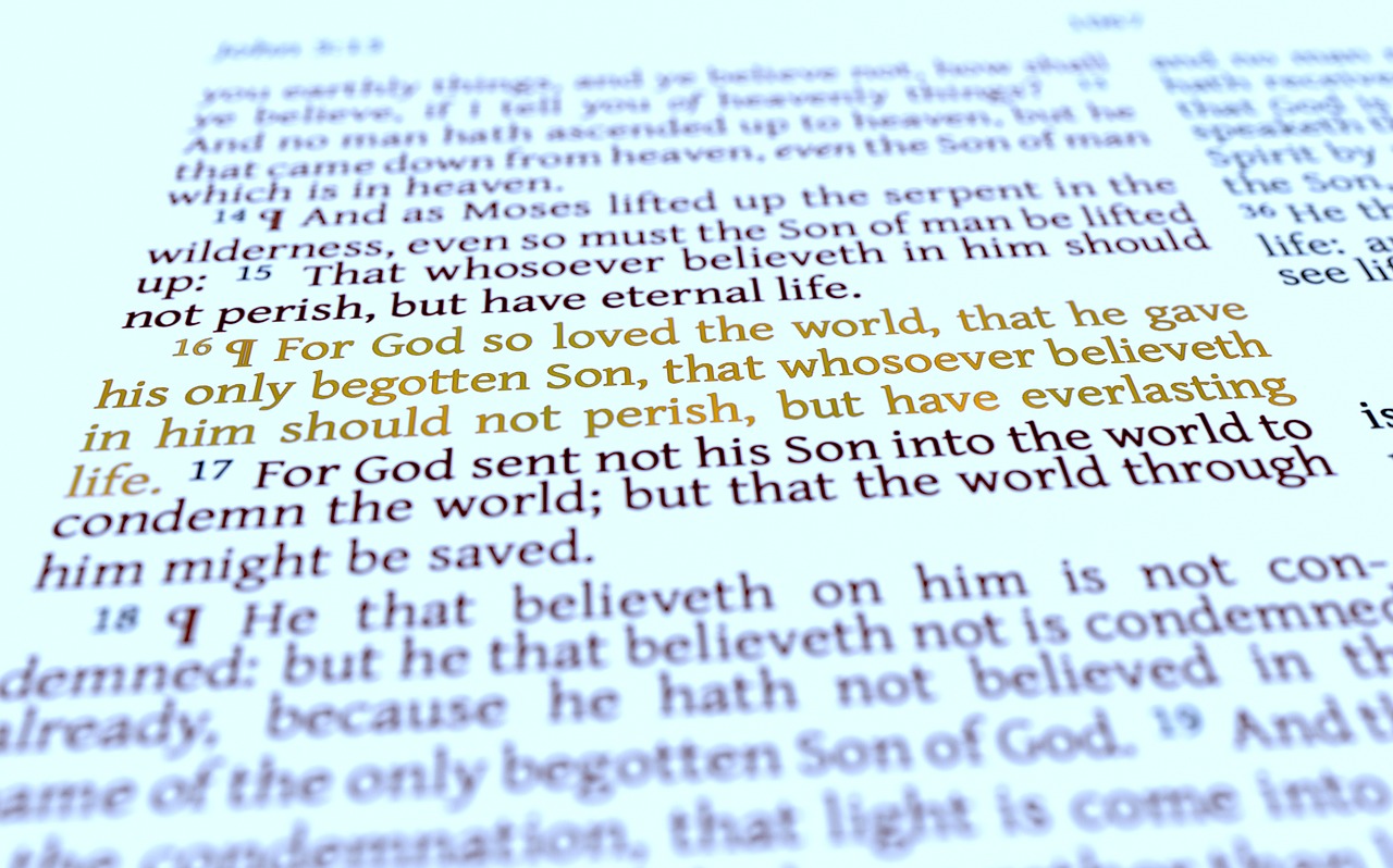 john  3  16 free photo