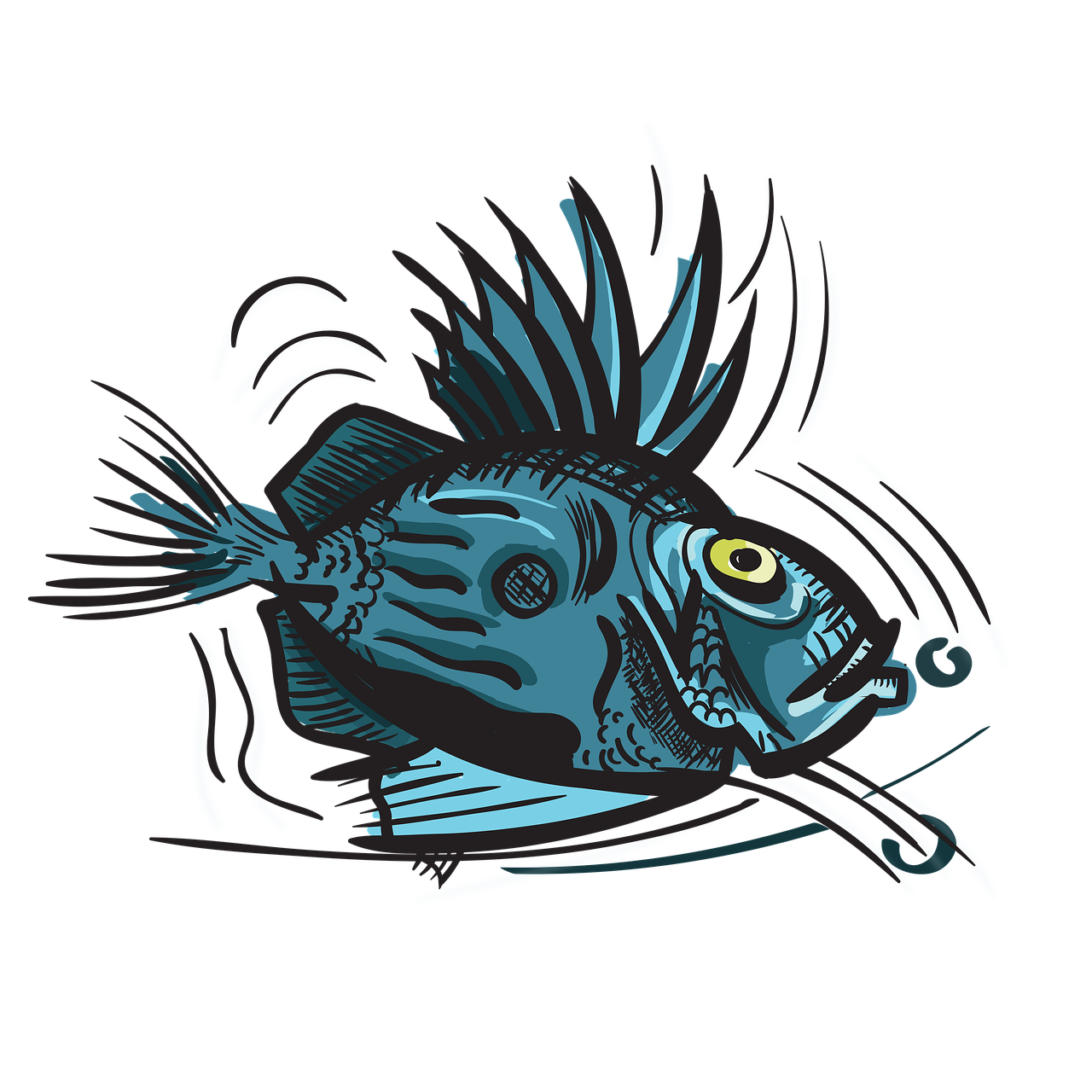 john dory  fish  animal free photo