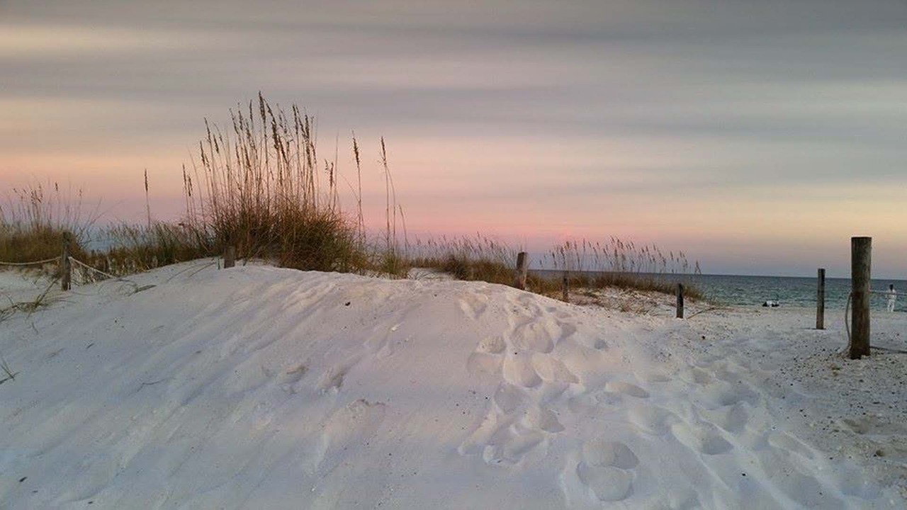 johnson's beach beach florida free photo