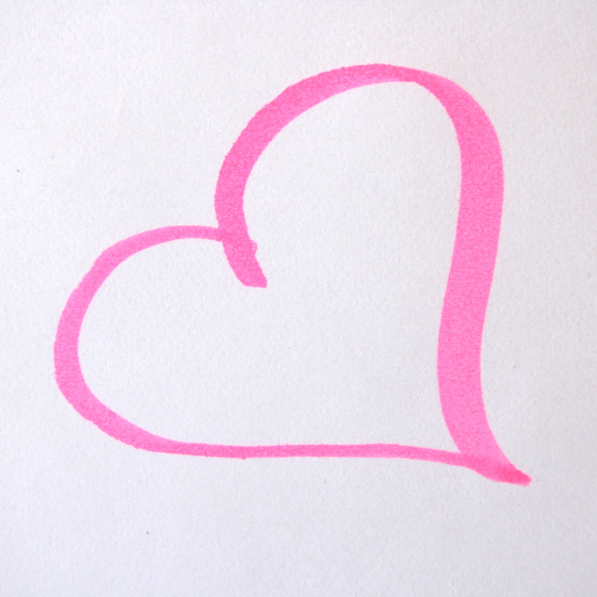 heart bright pink free photo