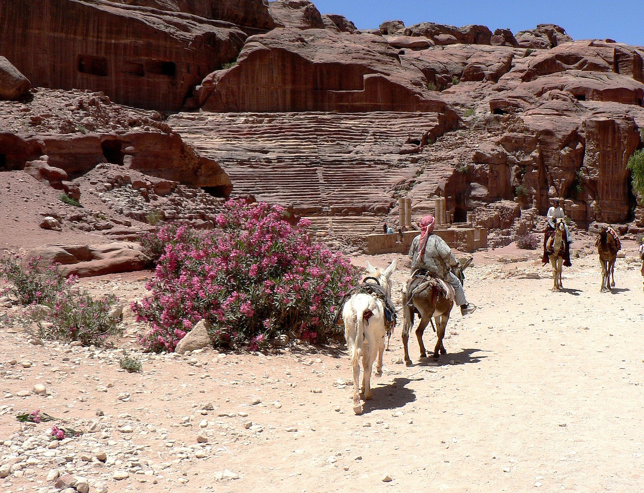 jordan petra amphitheater free photo