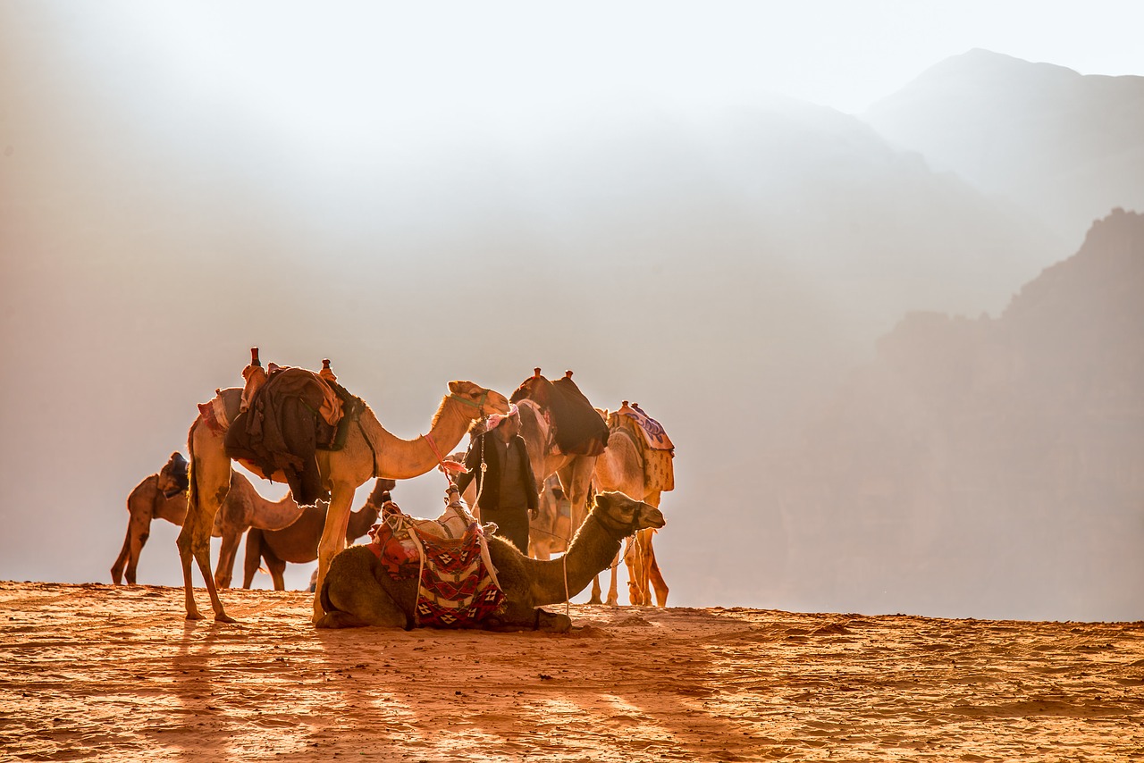 jordan wade rooms camel free photo