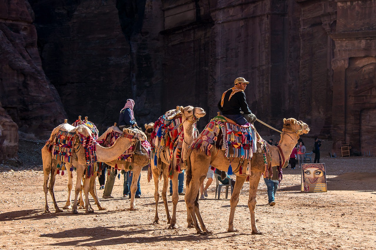 jordan petra camel free photo