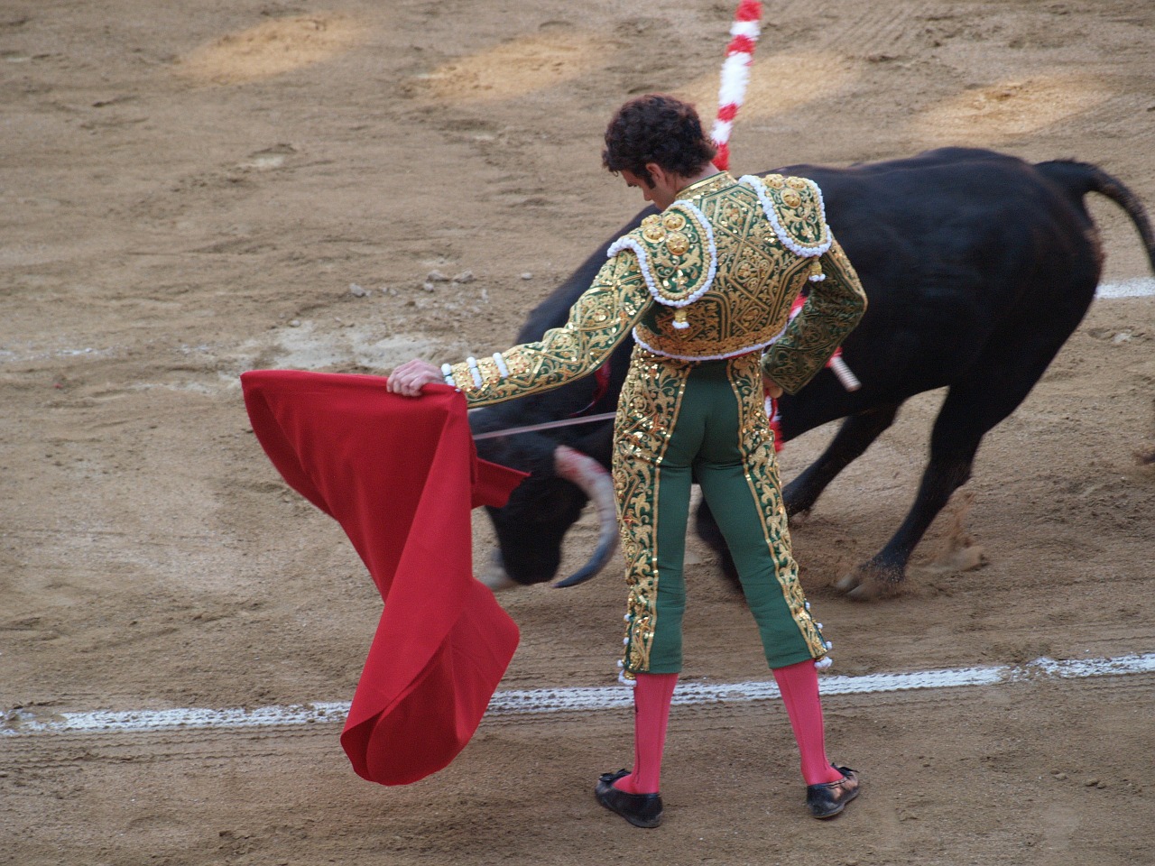 jose tomas torero bulls free photo