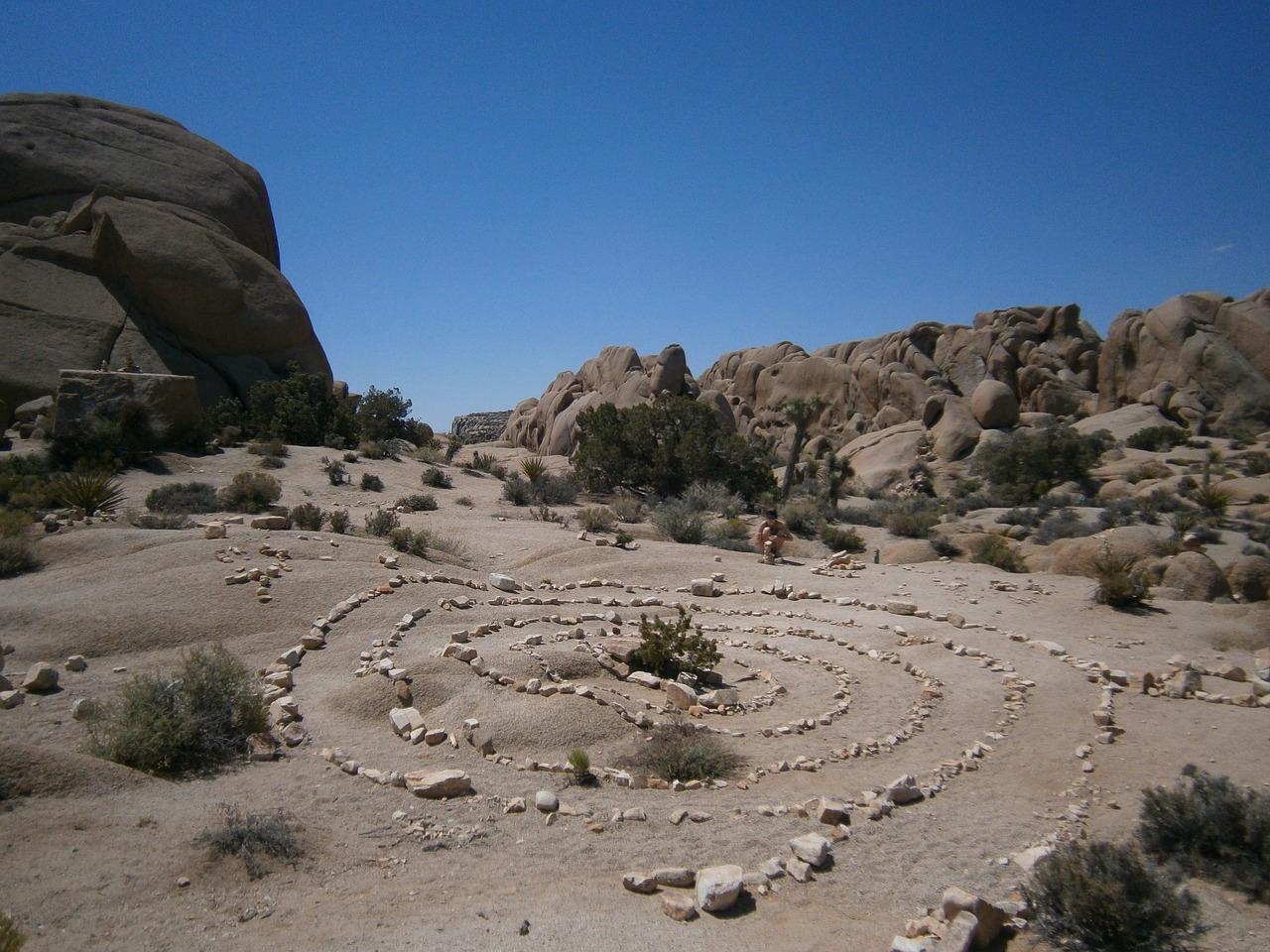 joshua tree rock formations desert free photo