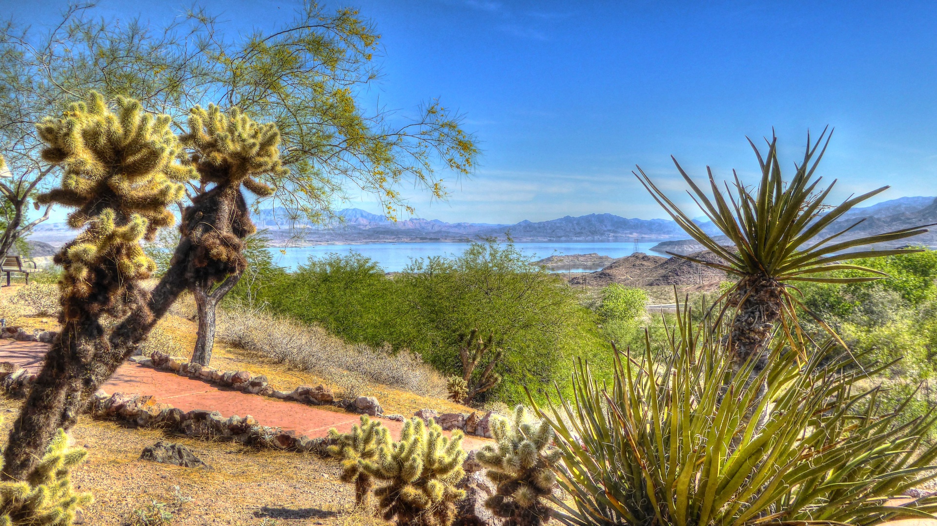 arizona desert landscape free photo