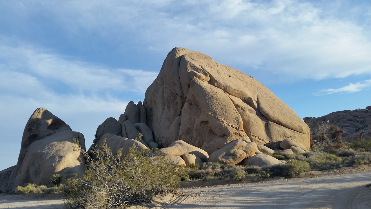 joshua tree national park  desert  rocks free photo